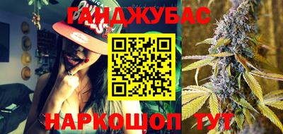 индика Нальчик