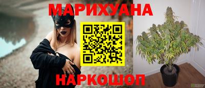 МДПВ Новодвинск