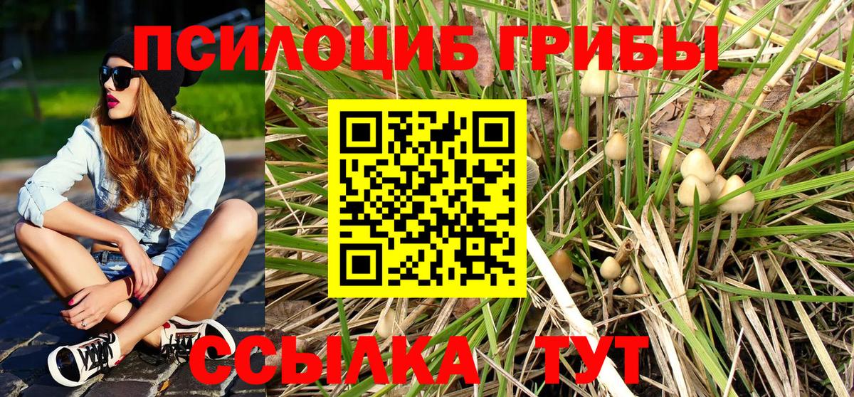 магазин  наркотиков  Галлюциногенные грибы MAGIC MUSHROOMS  Шатура  Вход с VPN  Псилоцибиновые грибы Cubensis 